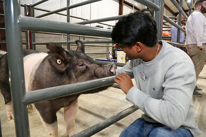 propel rural scholar with livestock