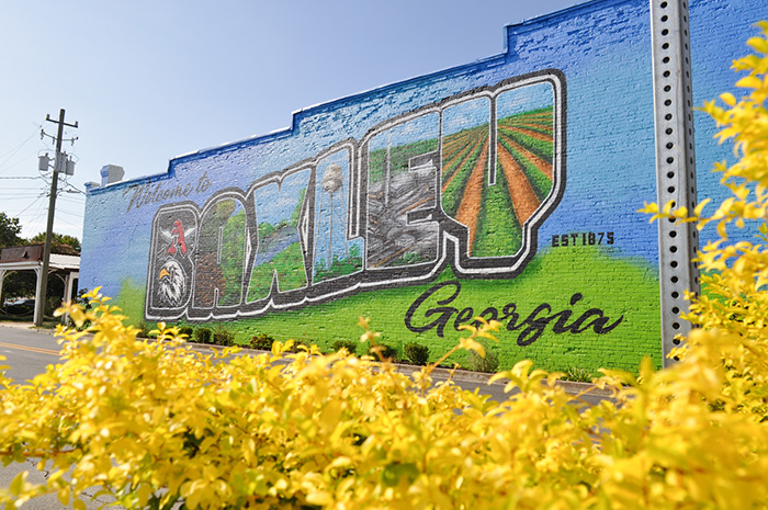 A picture of a mural in Baxley, Georgia