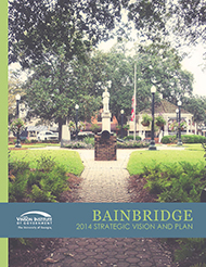Bainbridge Renaissance Strategic Vision and Plan